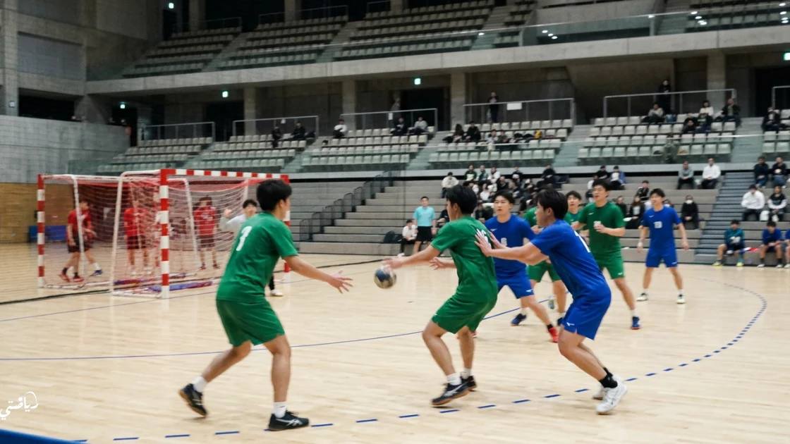Zagreb beat Celje 38-32 in EHF Champions League handball
