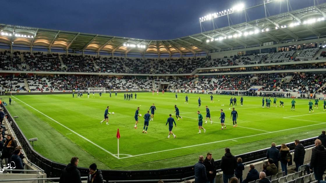 مورايرينسي يواجه إستريلا في الجولة 10 من الدوري البرتغالي