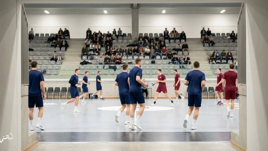 دوري أبطال أوروبا لكرة اليد: بورتو يستضيف فيسبريم في الجولة السادسة