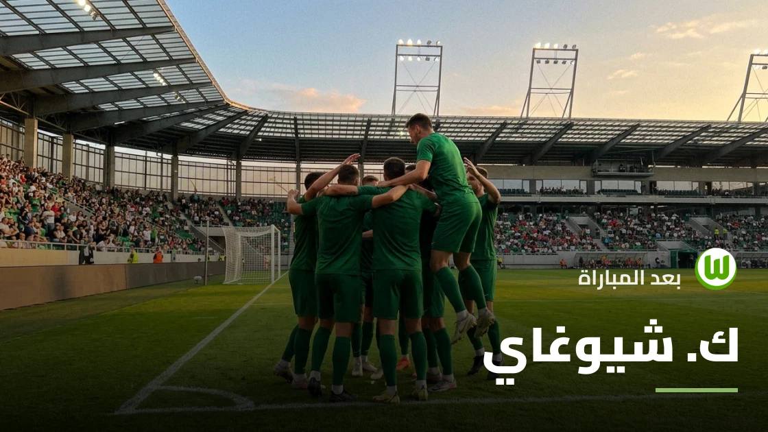 ثنائية شيوغاي لا تكفي فولفسبورغ أمام فرايبورغ في كأس ألمانيا